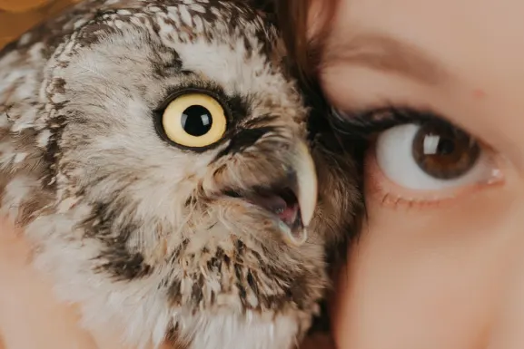 Lottomart Kasyno Wsparcie